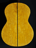 back